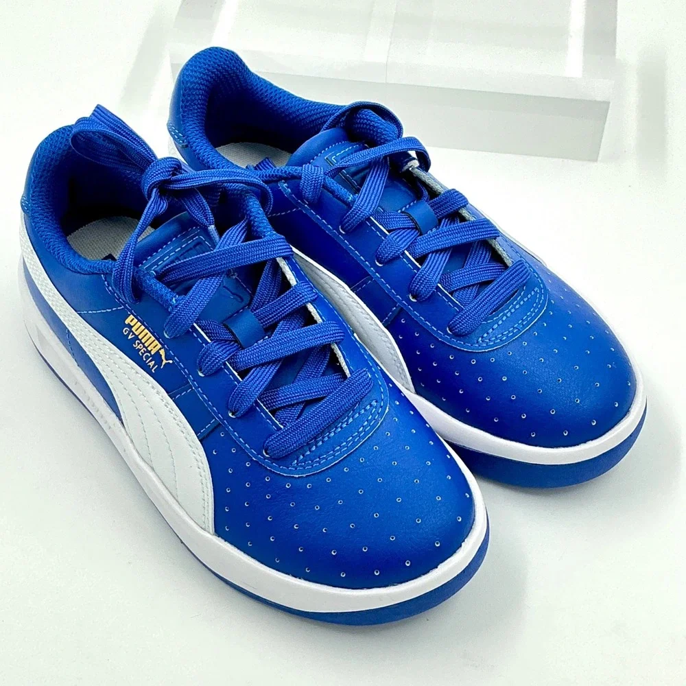Puma brand model